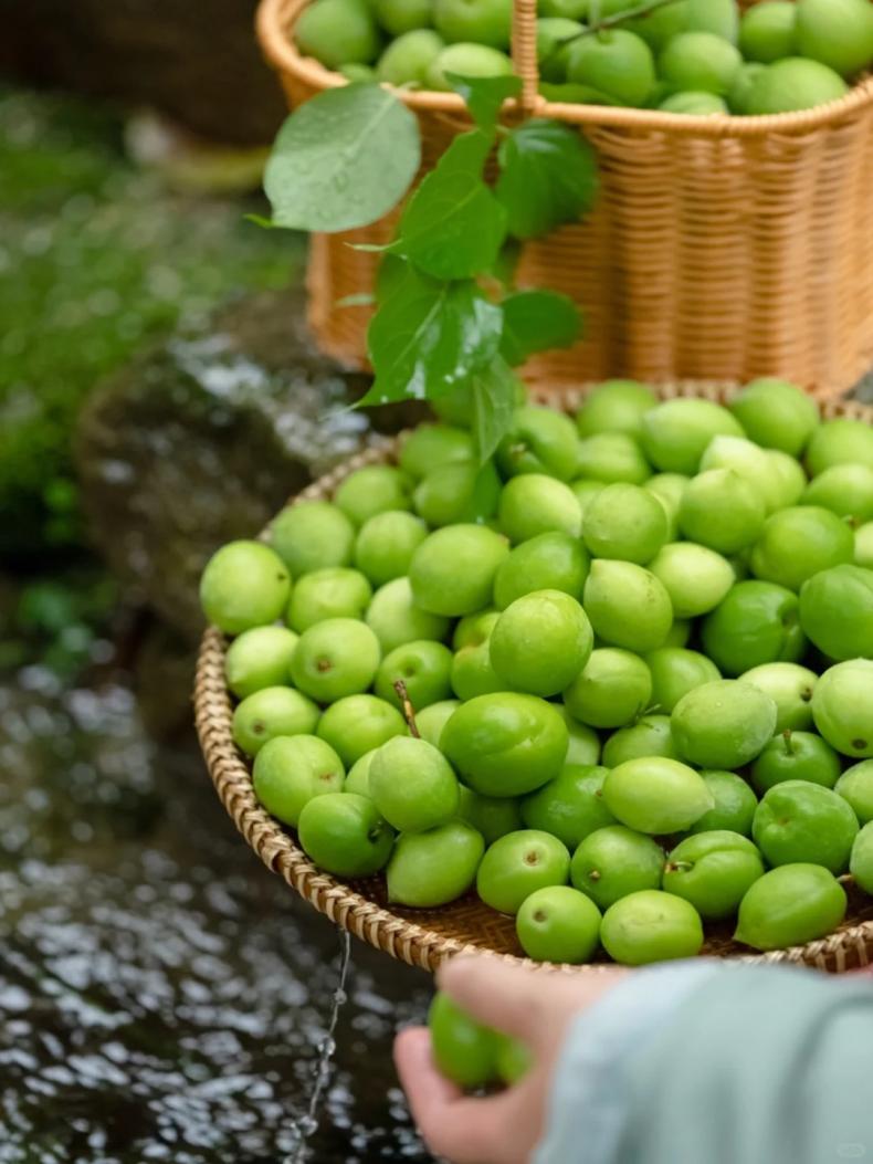 1704264664501195.jpg 9.jpg