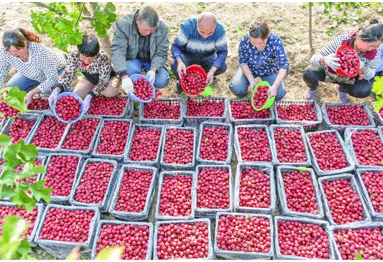 1704791245687862.gif 316cb4c85face3231051664d6eea8608.gif