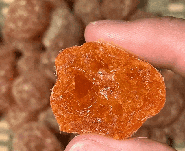 1705296395426476.gif 1.gif