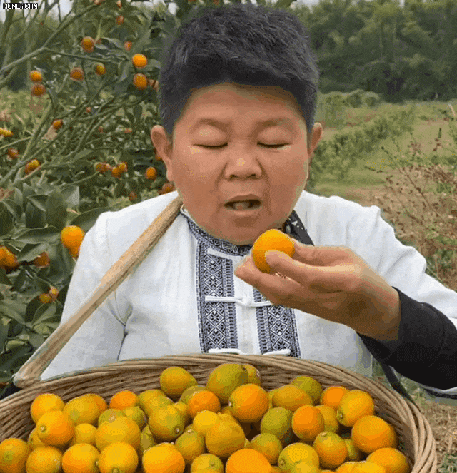 1705296589157541.gif 1.gif