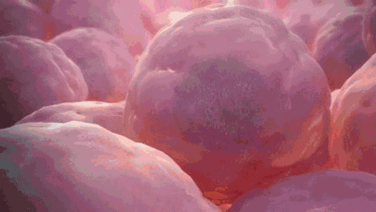 1706691750672902.gif 83ba0305c738005c65edf6599a9e9800.gif