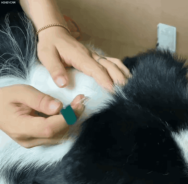 1715942635109590.gif 1.gif