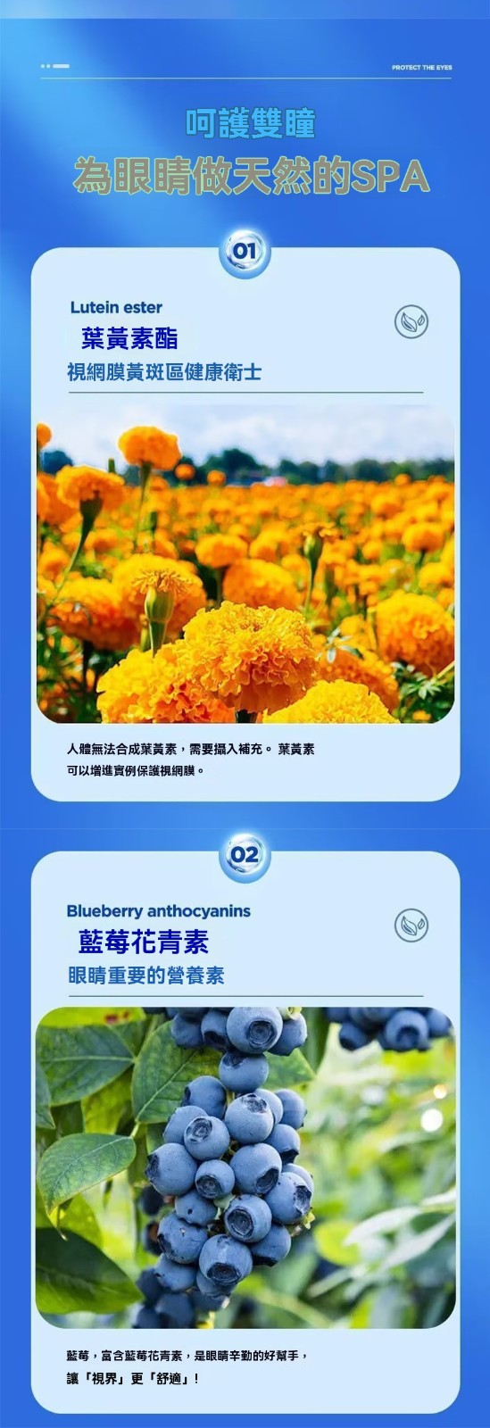 1733802589977457.jpg
